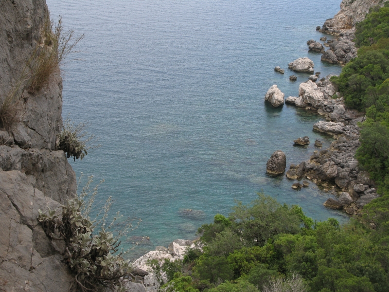 IMG_5864.JPG